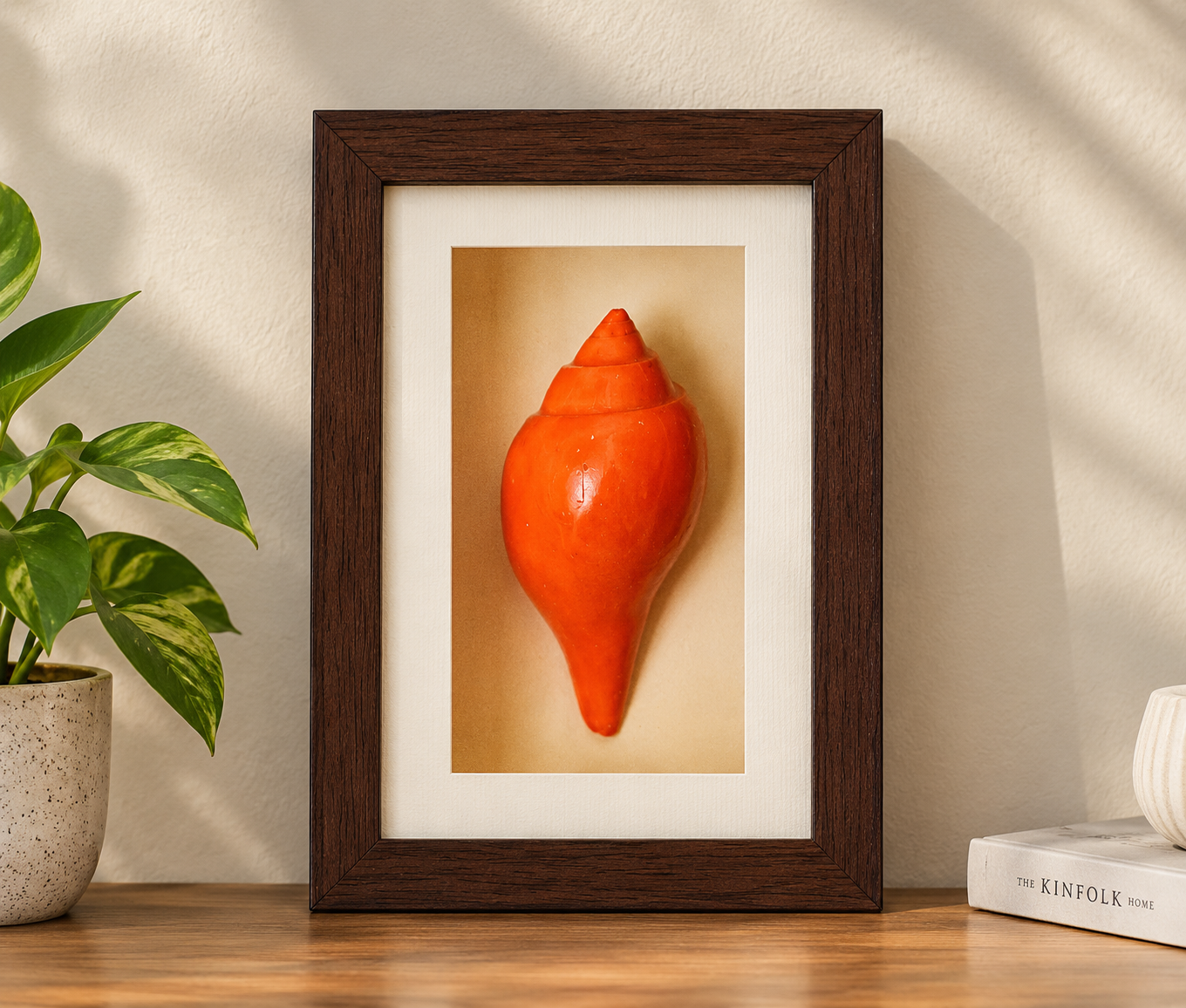 Framed Conch Shell Still Life